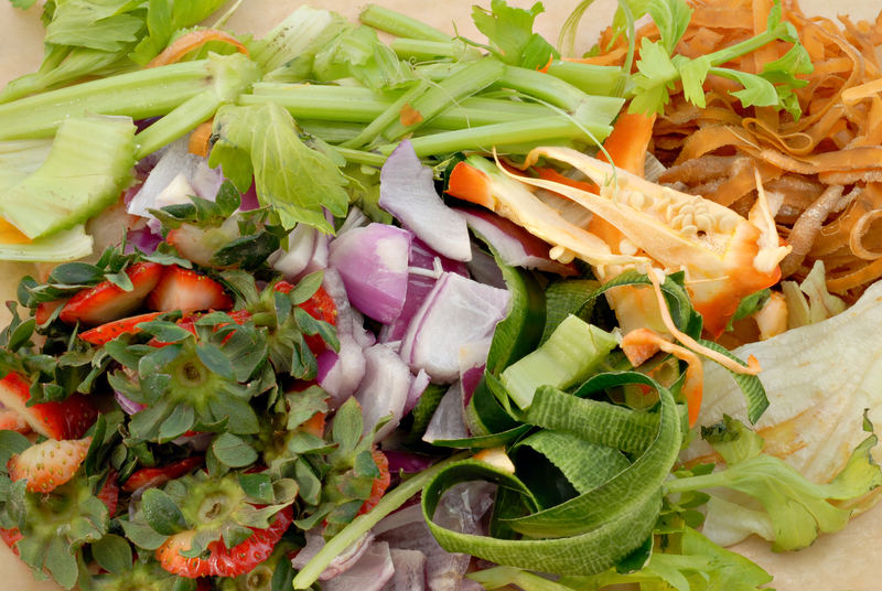Innovative Approaches to Halt Microplastic Spread